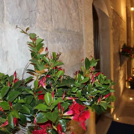 Delle Murge Bed & Breakfast