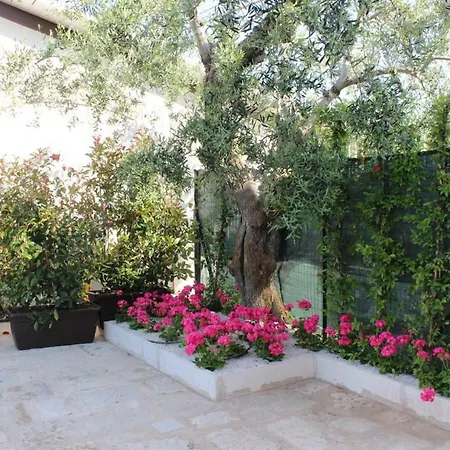Delle Murge Bed & Breakfast